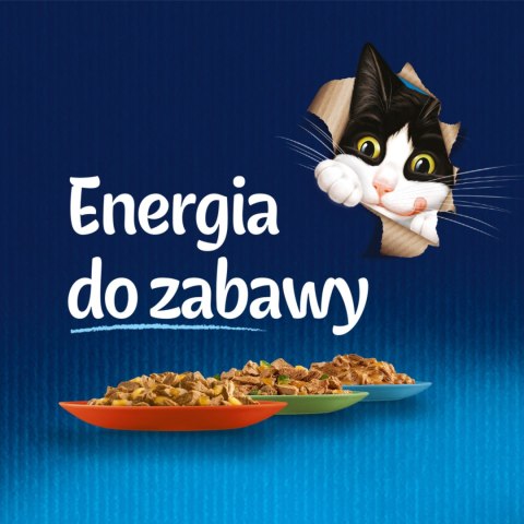 Felix Fantastic Wiejskie Smaki W Galaretce Z Łososiem I Pstrągiem 4x85g