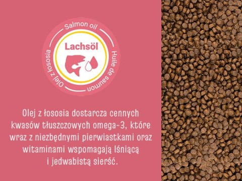 Josera Josicat Kitten Karma Sucha Dla Kociąt 10kg