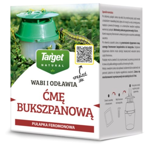 Pułapka feromonowa na ćmę bukszpanową