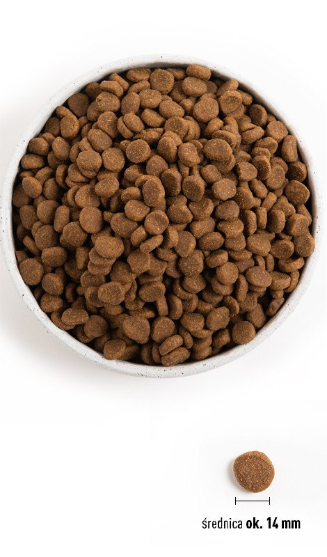 Orijen Dog Puppy Karma Sucha Dla Szczeniąt 6KG