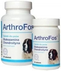 Dolfos ArthroFos 90 Tabletek