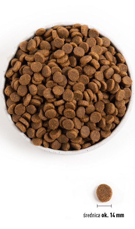 ACANA Adult Dog 2kg