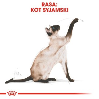 ROYAL CANIN Siamese Adult 2kg