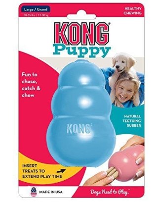 KONG Company Puppy M